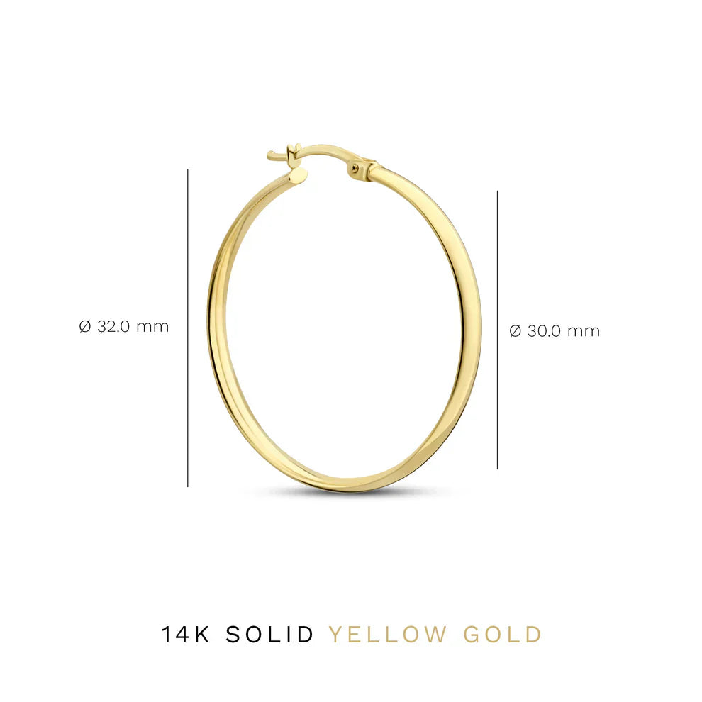 Noa Serane Oorbellen | Goud